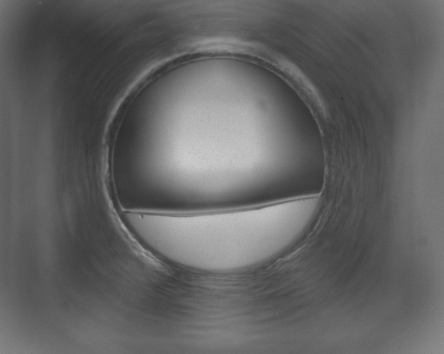 X0000073991376200608211031