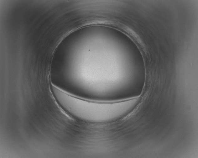 X0000073991377200608211031