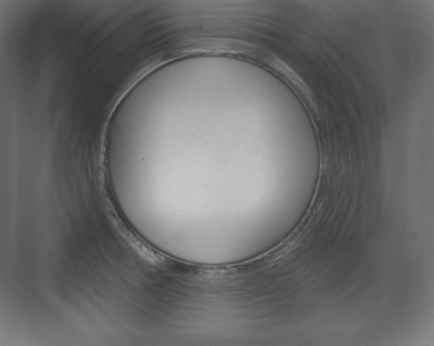 X0000073991378200608211031