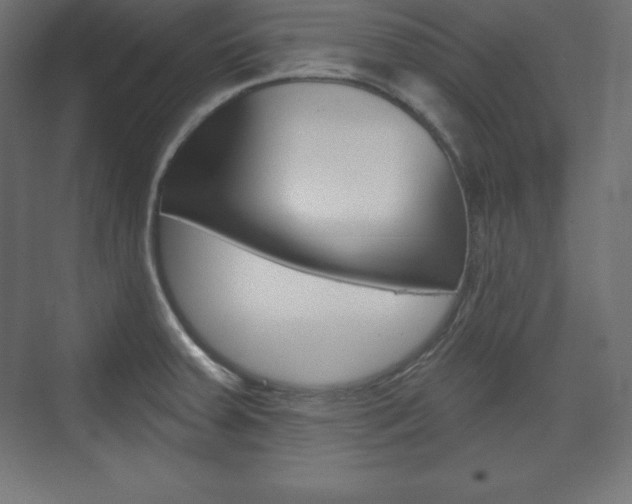 X0000073991379200608211031