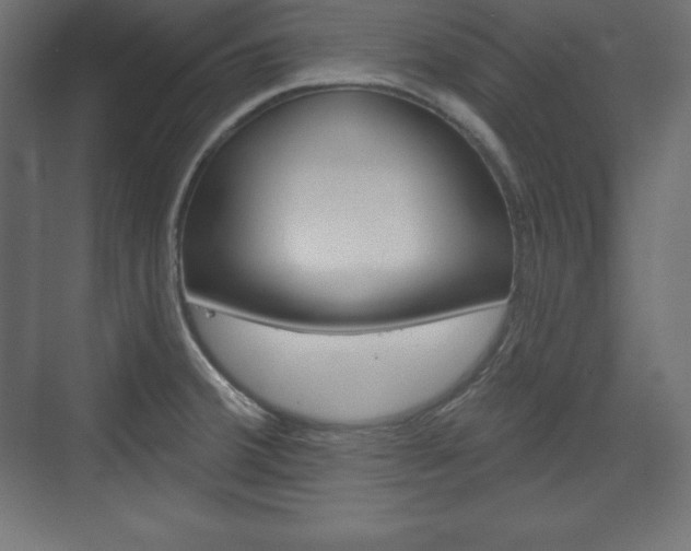 X0000073991380200608211031
