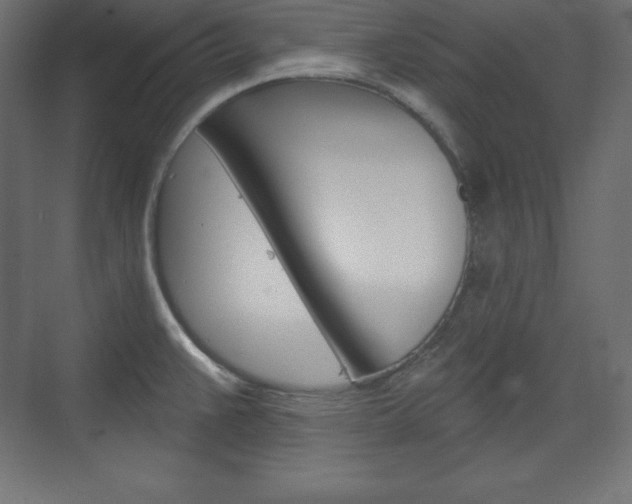 X0000073991383200608211031