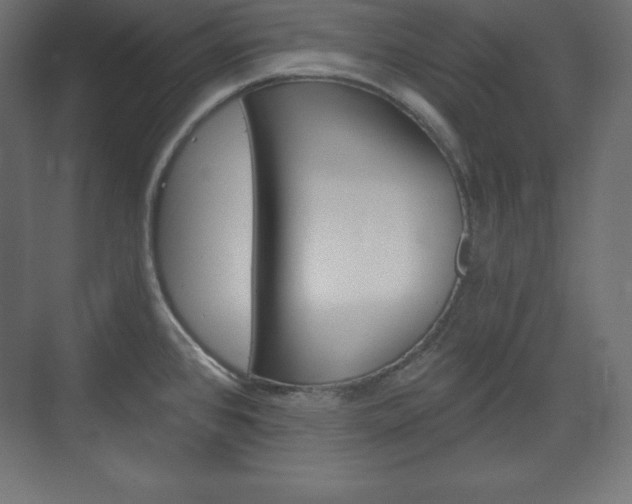 X0000073991384200608211031