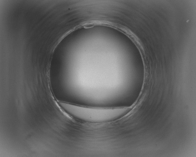 X0000073991385200608211031
