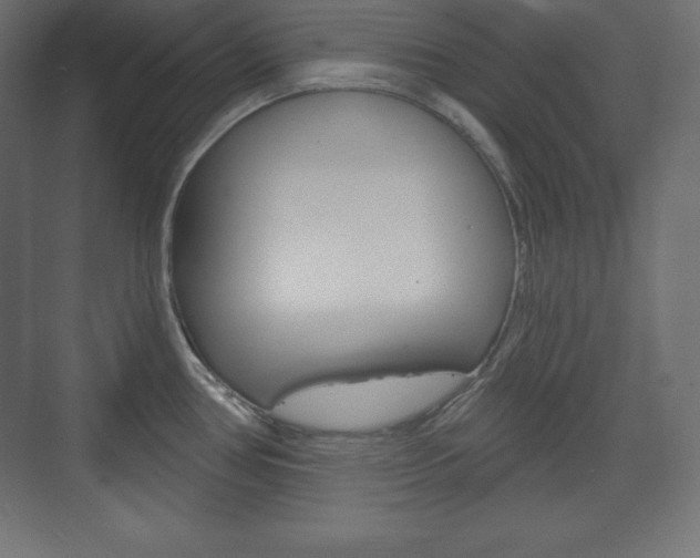 X0000073991386200608211031