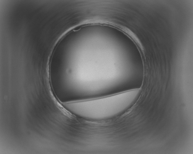 X0000073991388200608211030