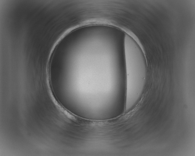 X0000073991389200608211030