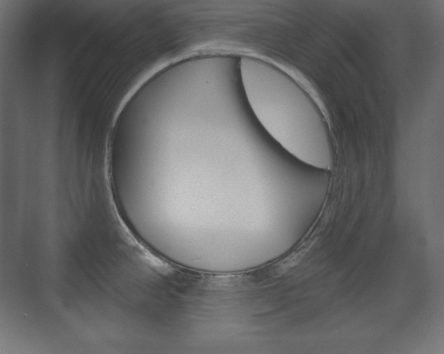 X0000073991390200608211030