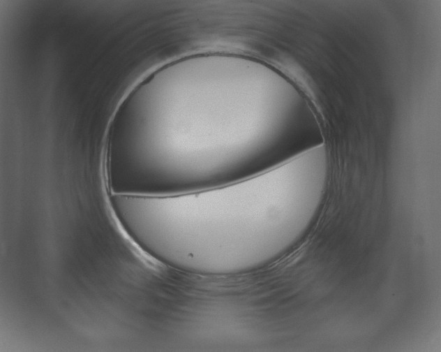 X0000073991391200608211030
