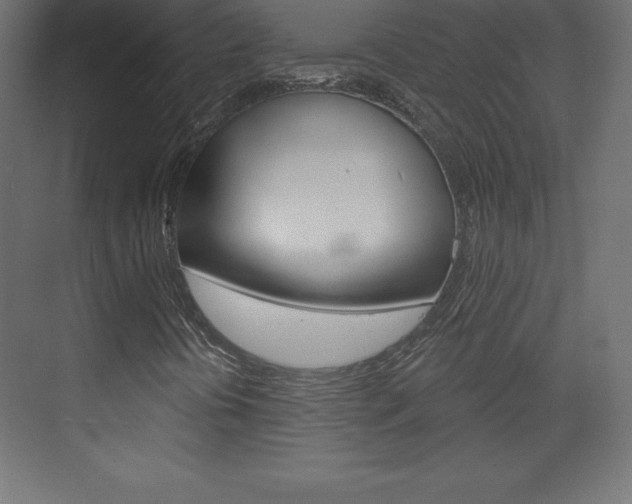 X0000073991394200608211030