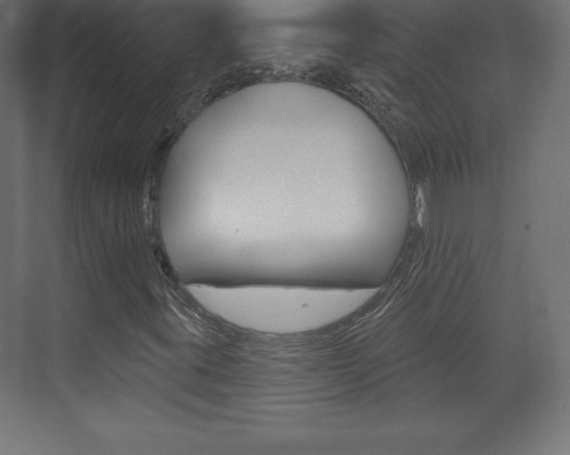 X0000073991395200608211030