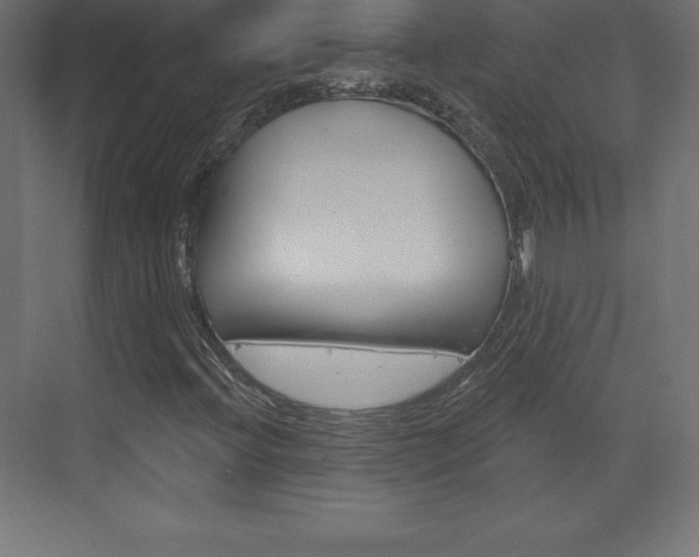 X0000073991396200608211030
