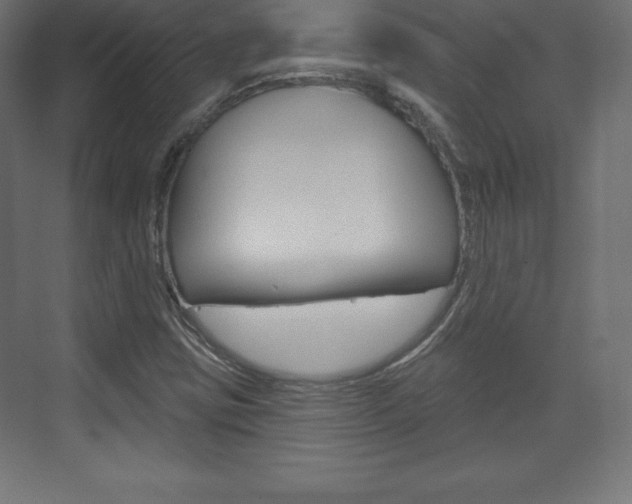 X0000073991403200608211030