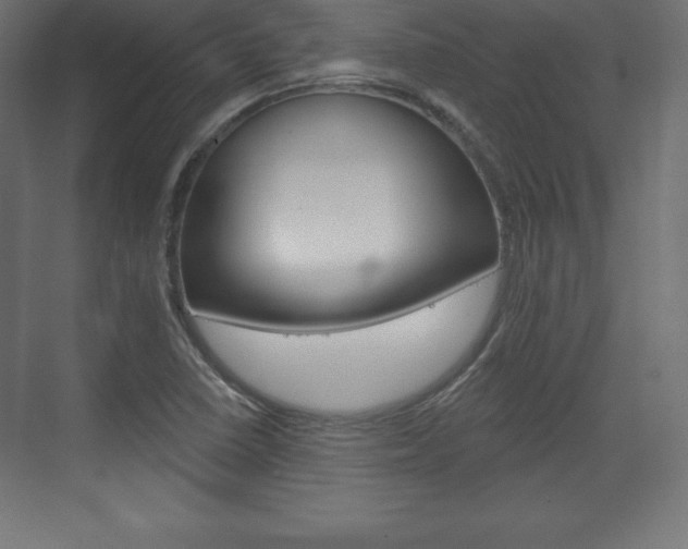 X0000073991410200608211030