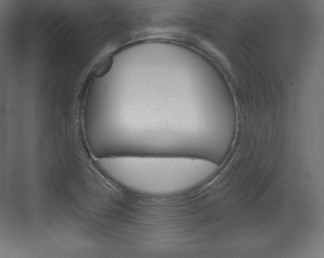 X0000073991411200608211030