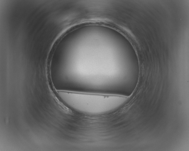 X0000073991412200608211030