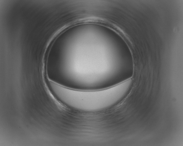 X0000073991418200608211030