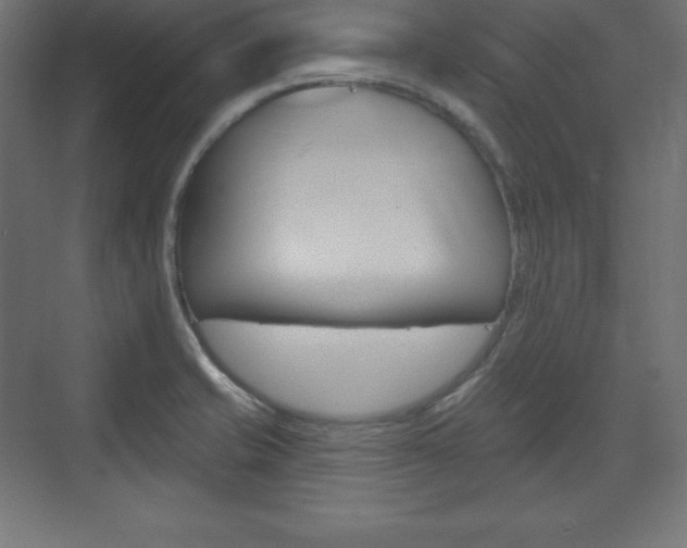 X0000073991421200608211030