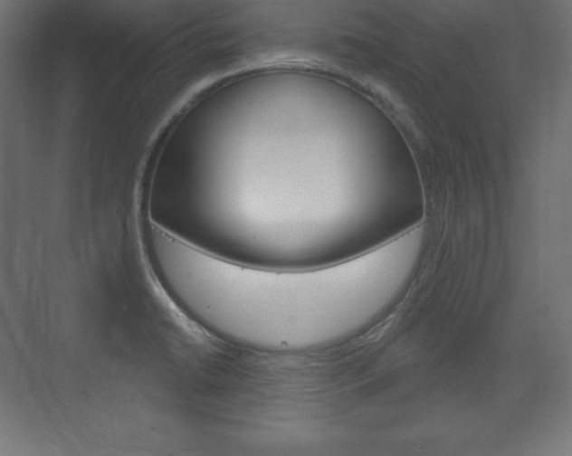 X0000073991422200608211030