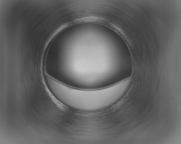 X0000073991426200608211030