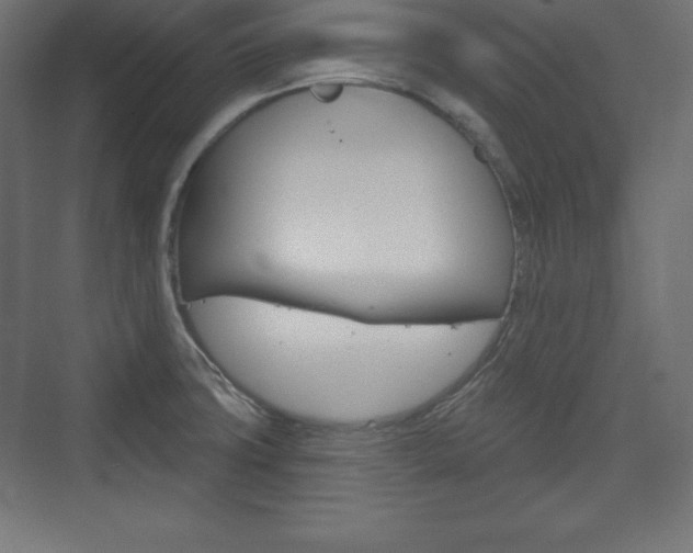 X0000073991427200608211030