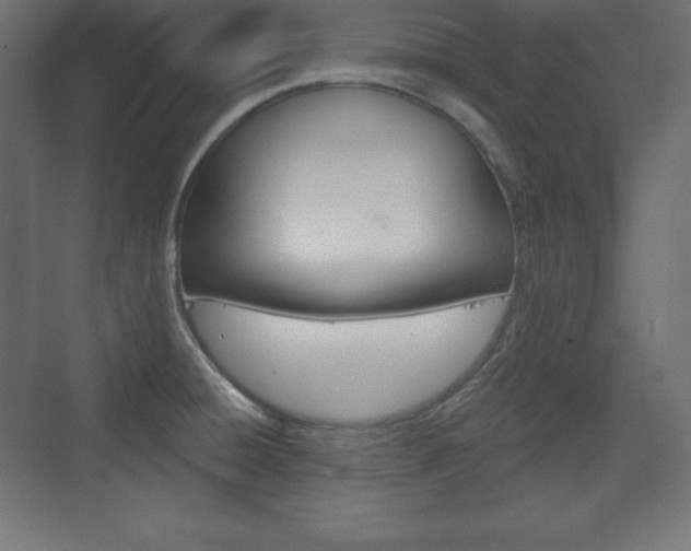 X0000073991428200608211030