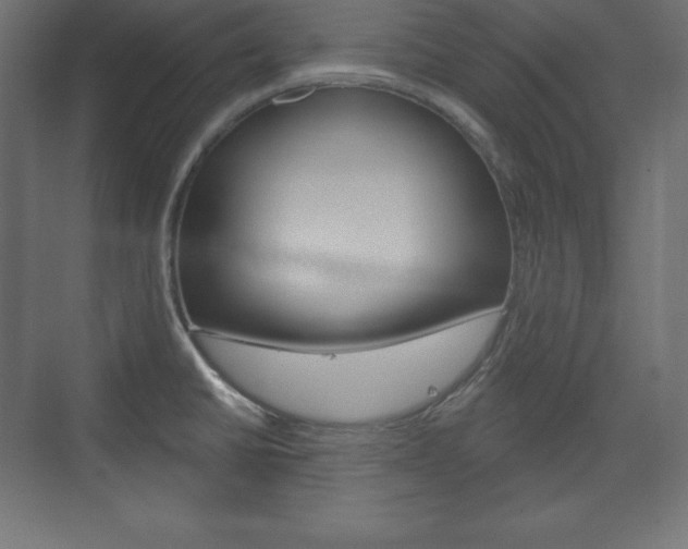 X0000073991430200608211030
