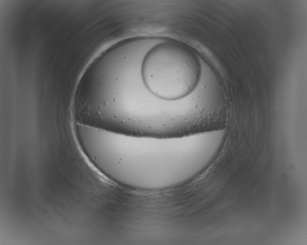 X0000073991432200608211030