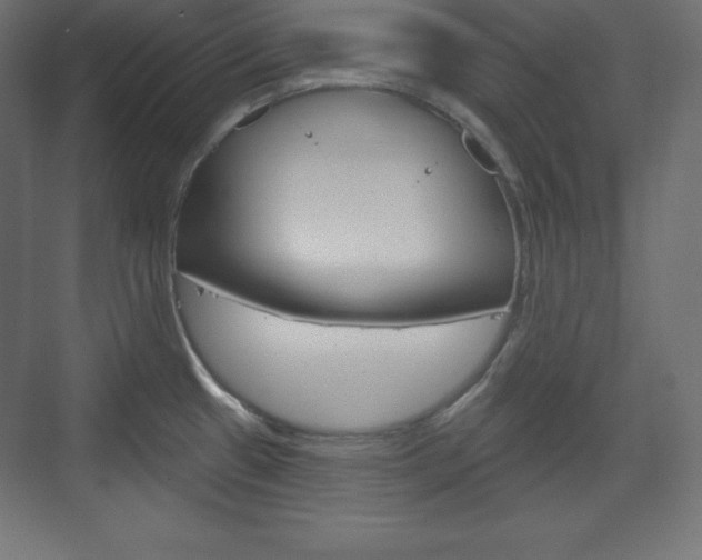 X0000073991433200608211030