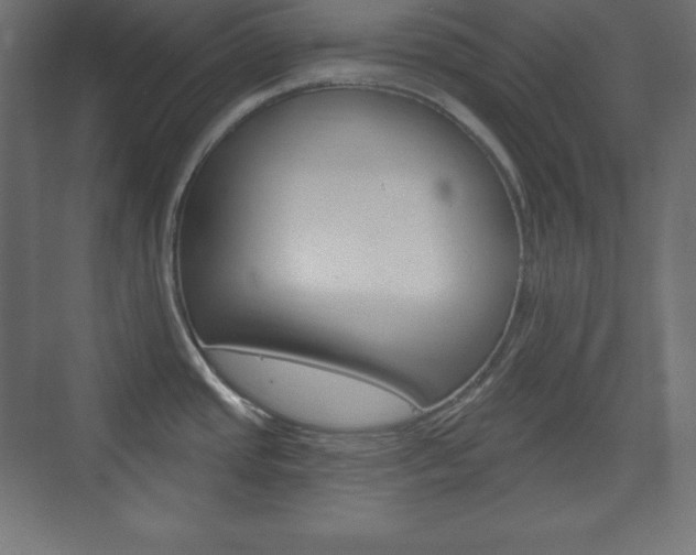 X0000073991437200608211030