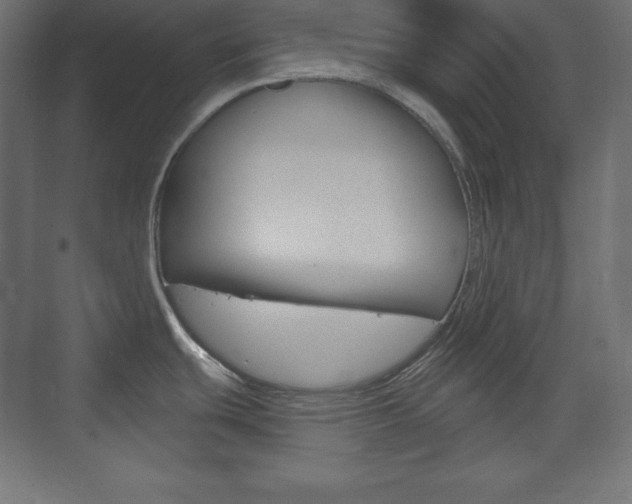 X0000073991439200608211030