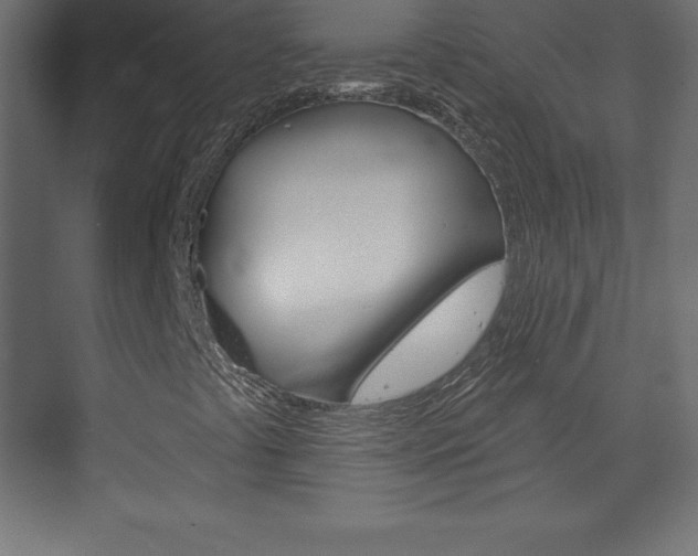 X0000073991441200608211030