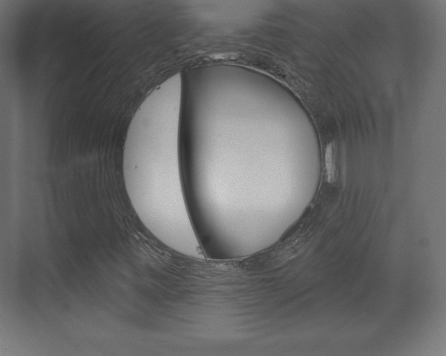X0000073991443200608211030