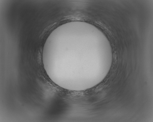X0000073991446200608211030