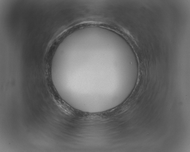 X0000073991448200608211029