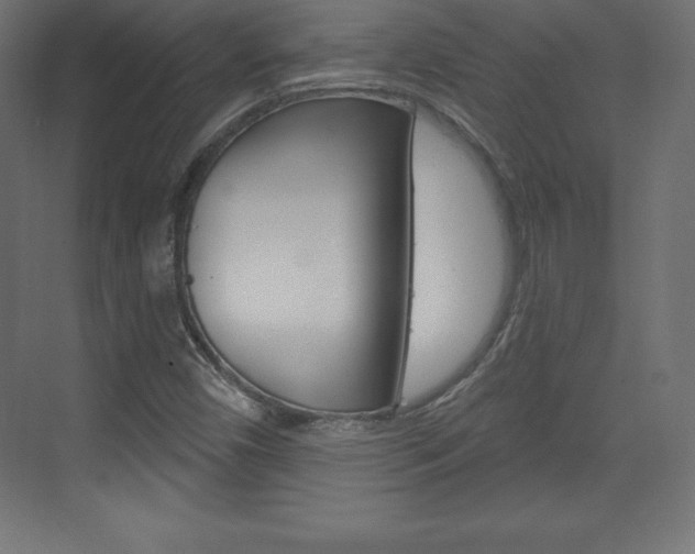 X0000073991450200608211029