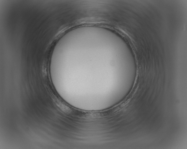 X0000073991451200608211029