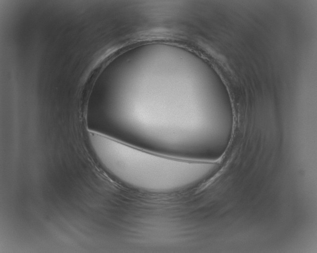 X0000073991453200608211029