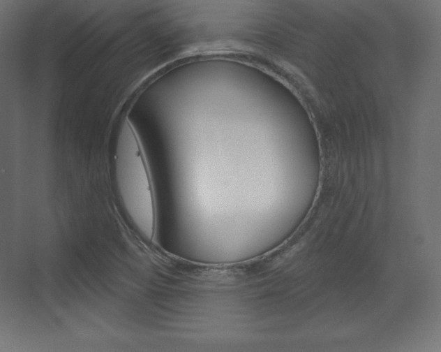 X0000073991457200608211029