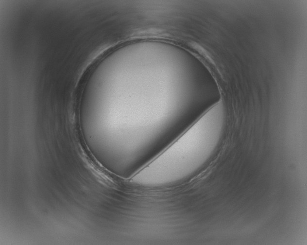 X0000073991458200608211029