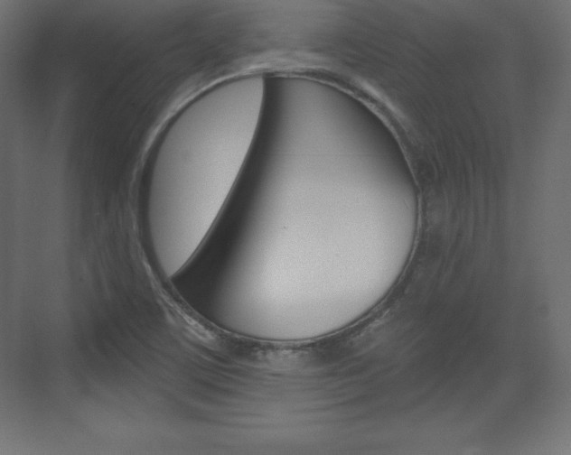 X0000073991459200608211029