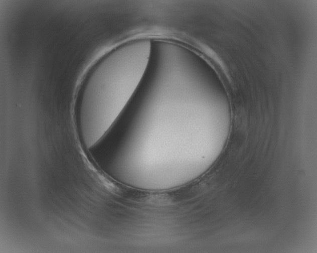X0000073991464200608211029