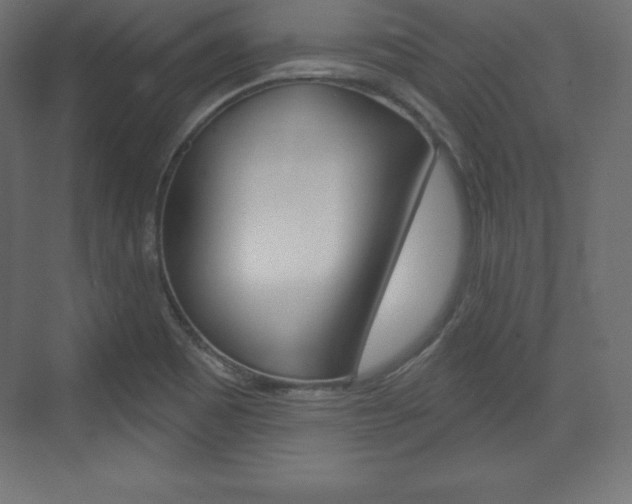 X0000073991465200608211029