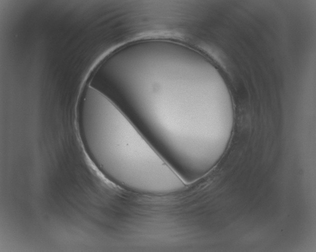 X0000073991468200608211029