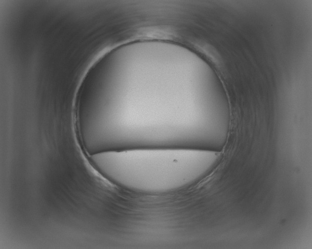 X0000073991471200608211029