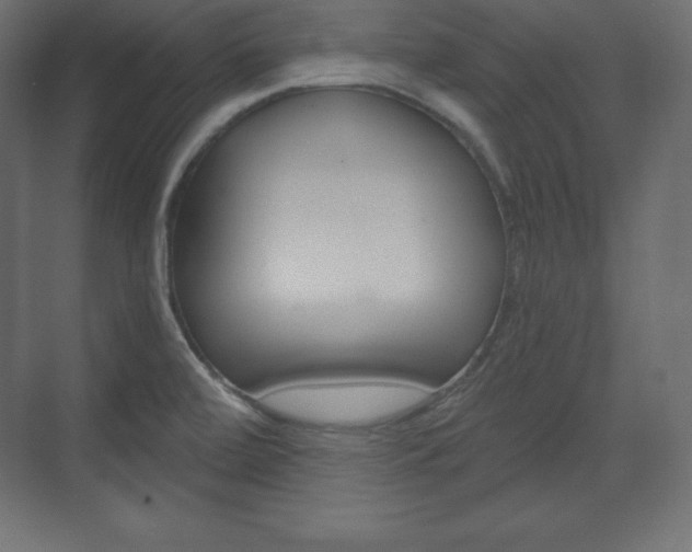 X0000073991472200608211029