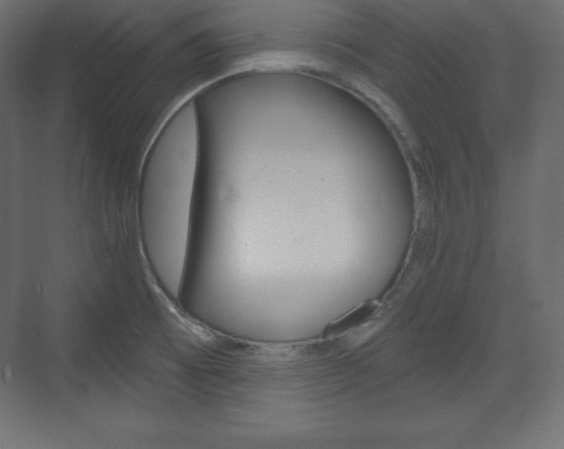 X0000073991473200608211029