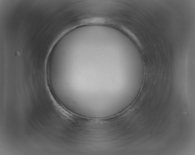 X0000073991475200608211029