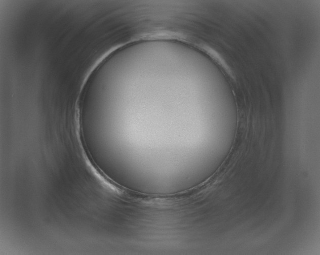 X0000073991476200608211029