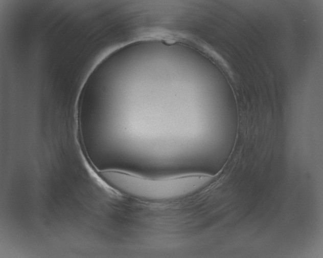 X0000073991479200608211029